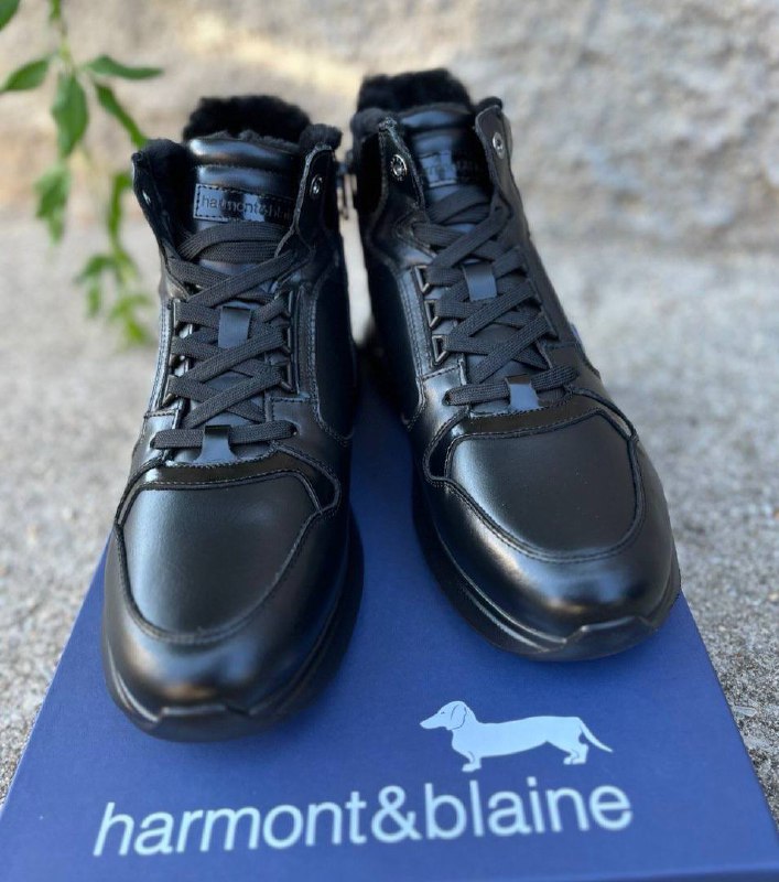 Фото Roberto Serpentini