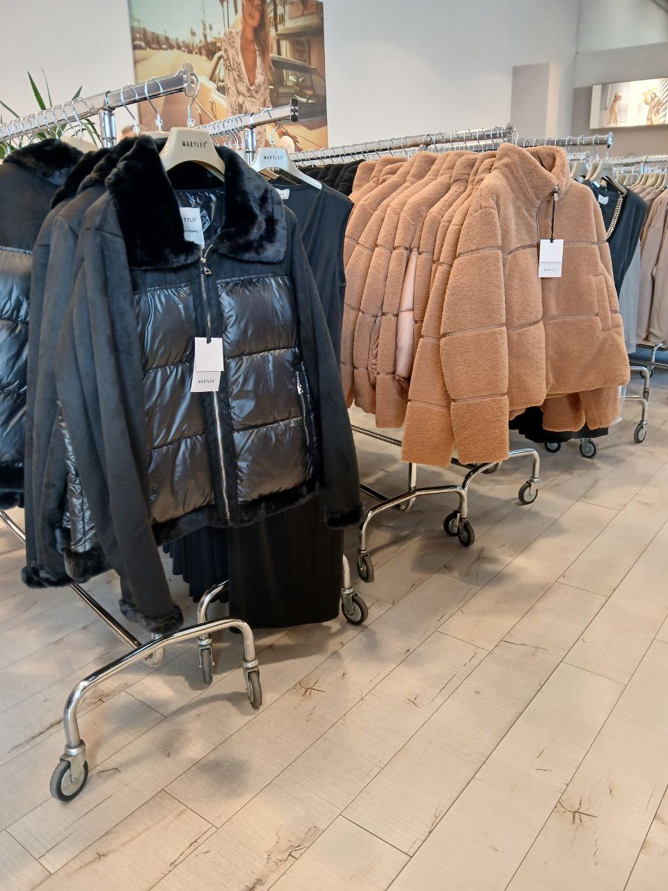 Итальянская одежда, бренд Marylay, арт. 73882265