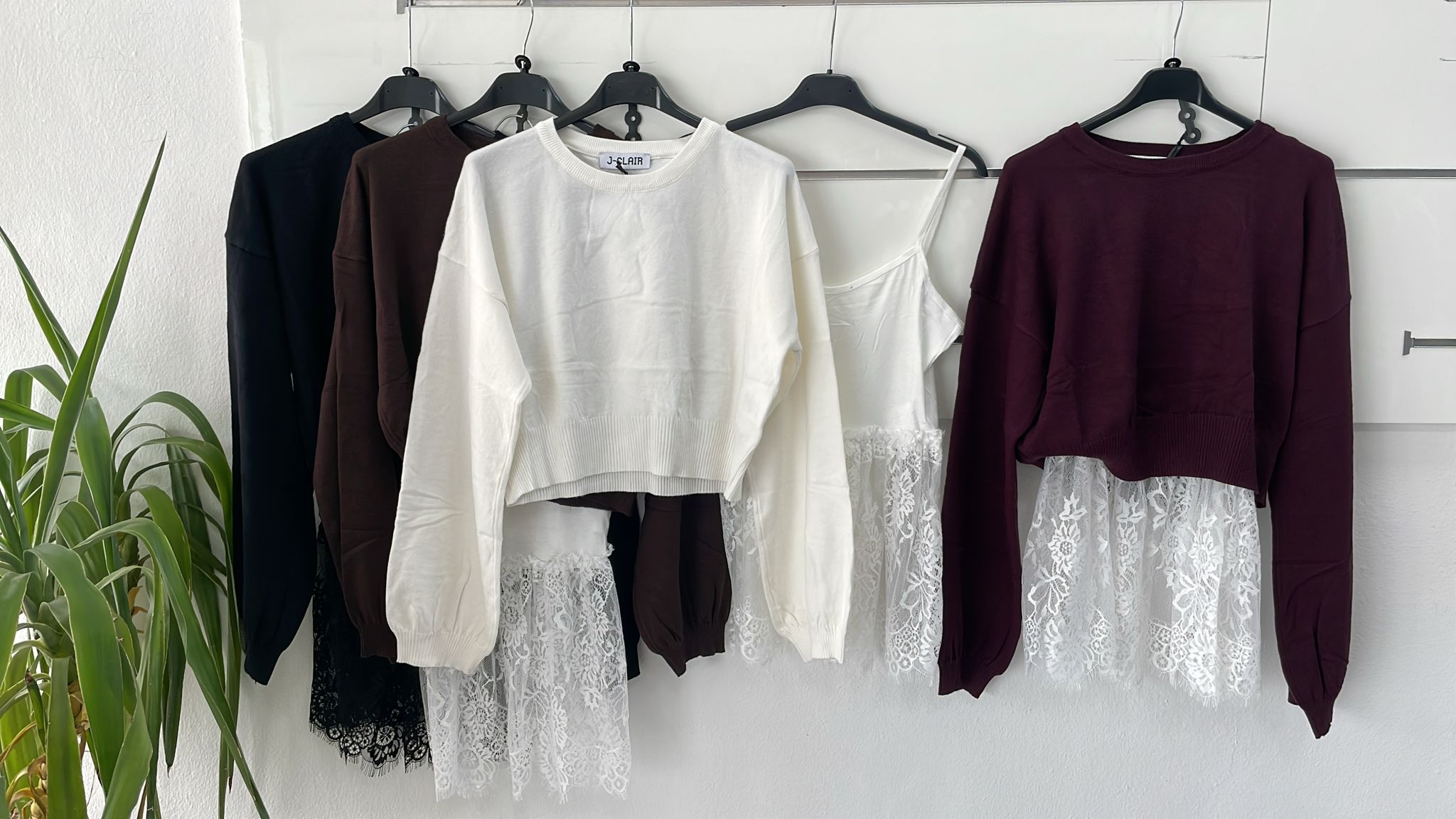 Фото Joie Clair (J-Clair)