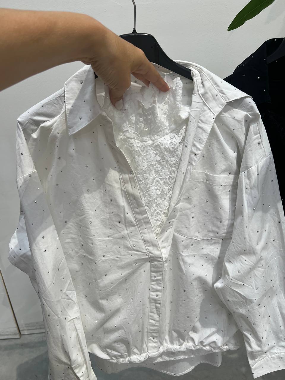 Amelie Follies (Michelle) Фото Amelie Follies (Michelle)