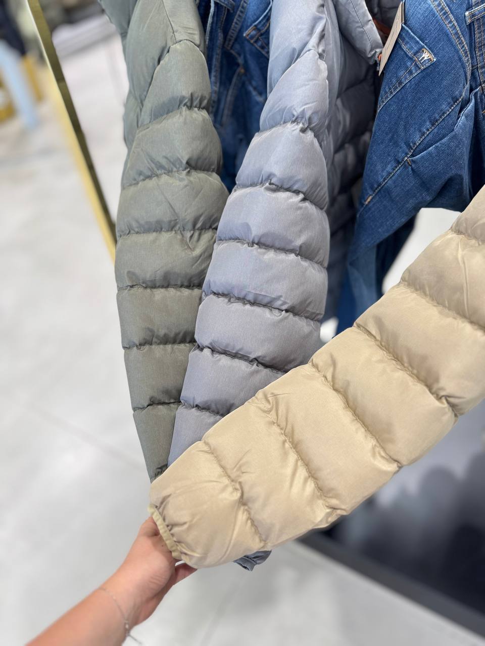 Фото Primo Emporio