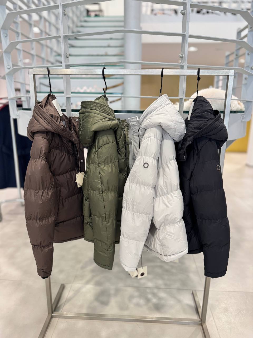 Фото Primo Emporio