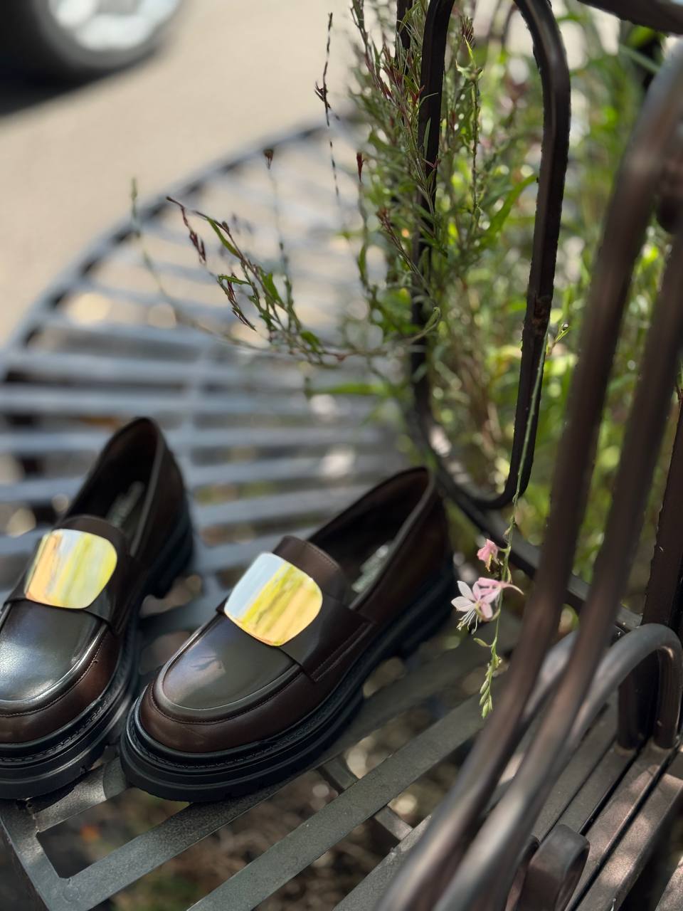 Фото Federica Lancioni