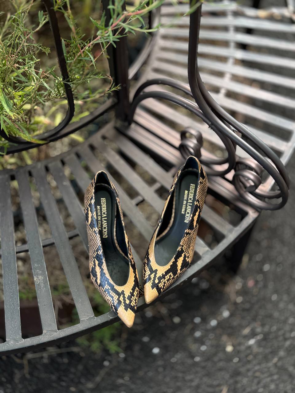 Фото Federica Lancioni