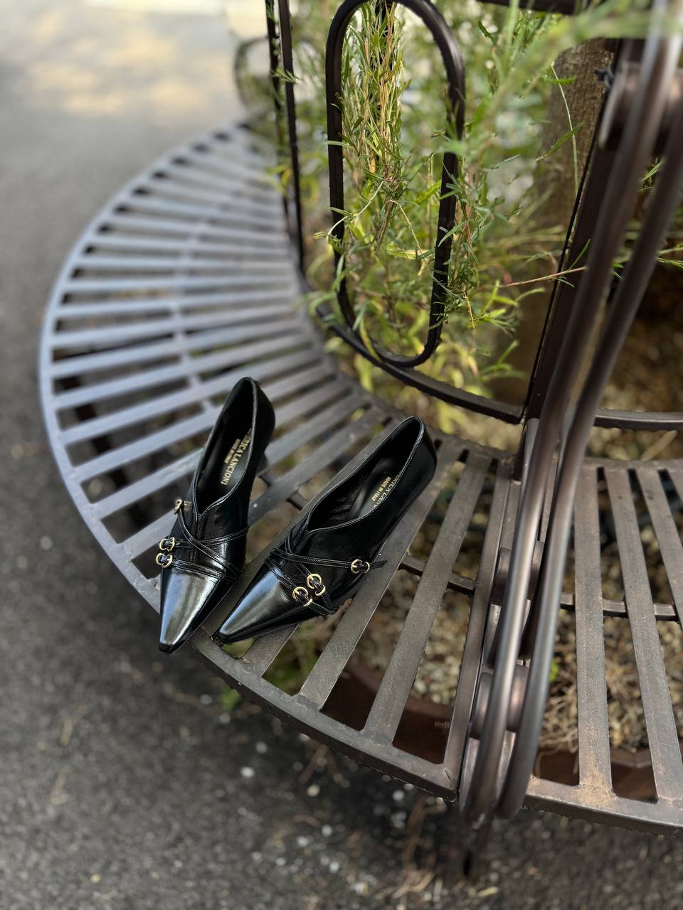 Фото Federica Lancioni