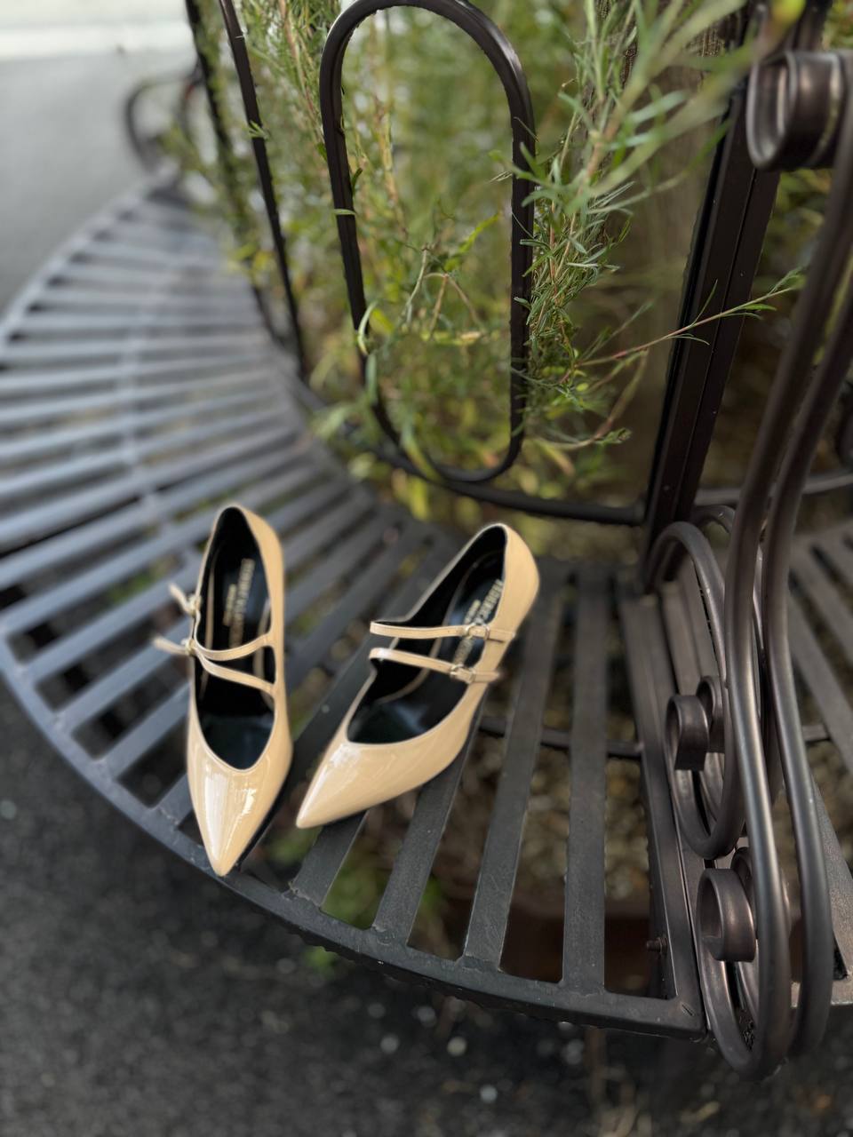 Фото Federica Lancioni