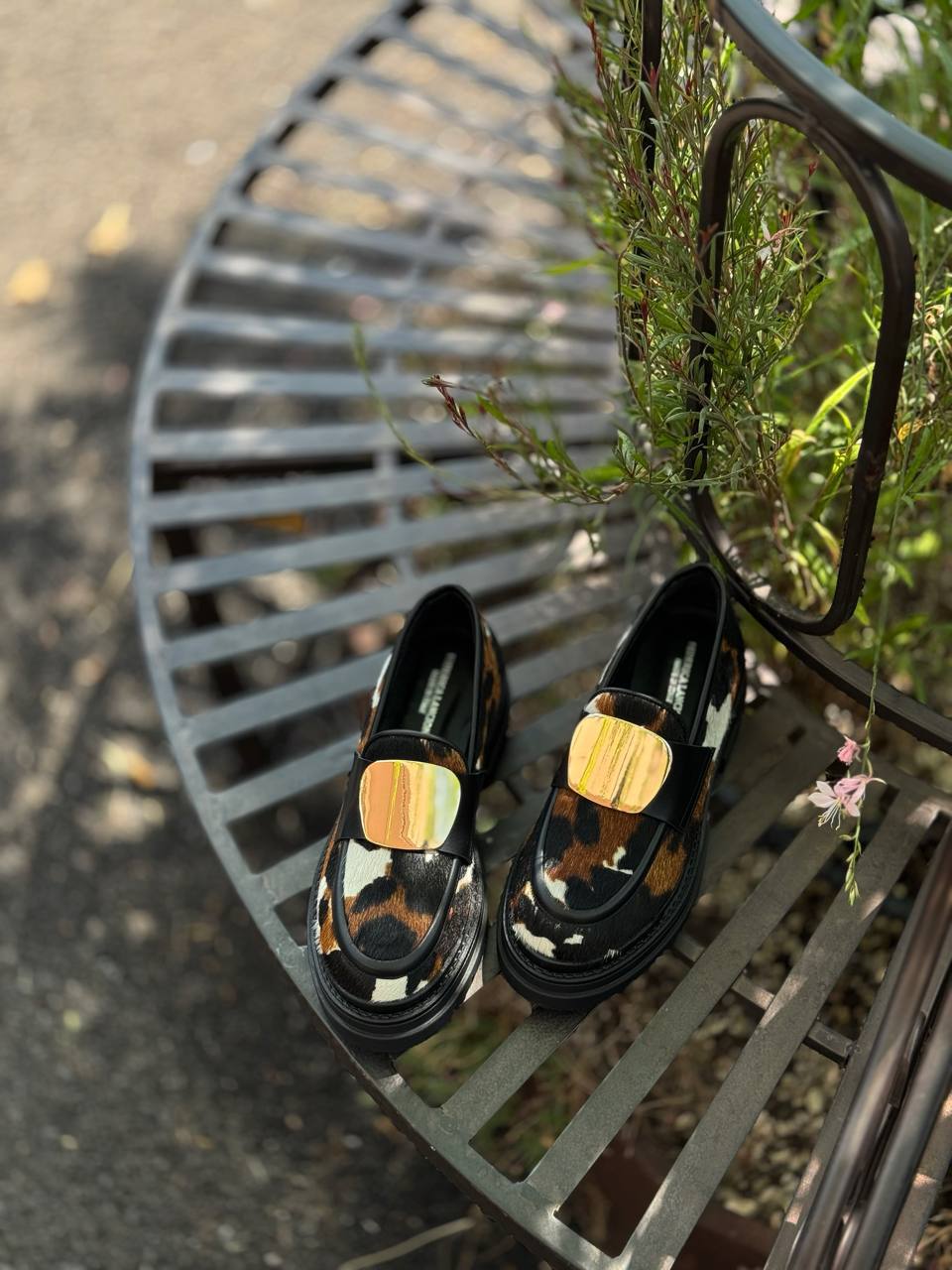 Фото Federica Lancioni