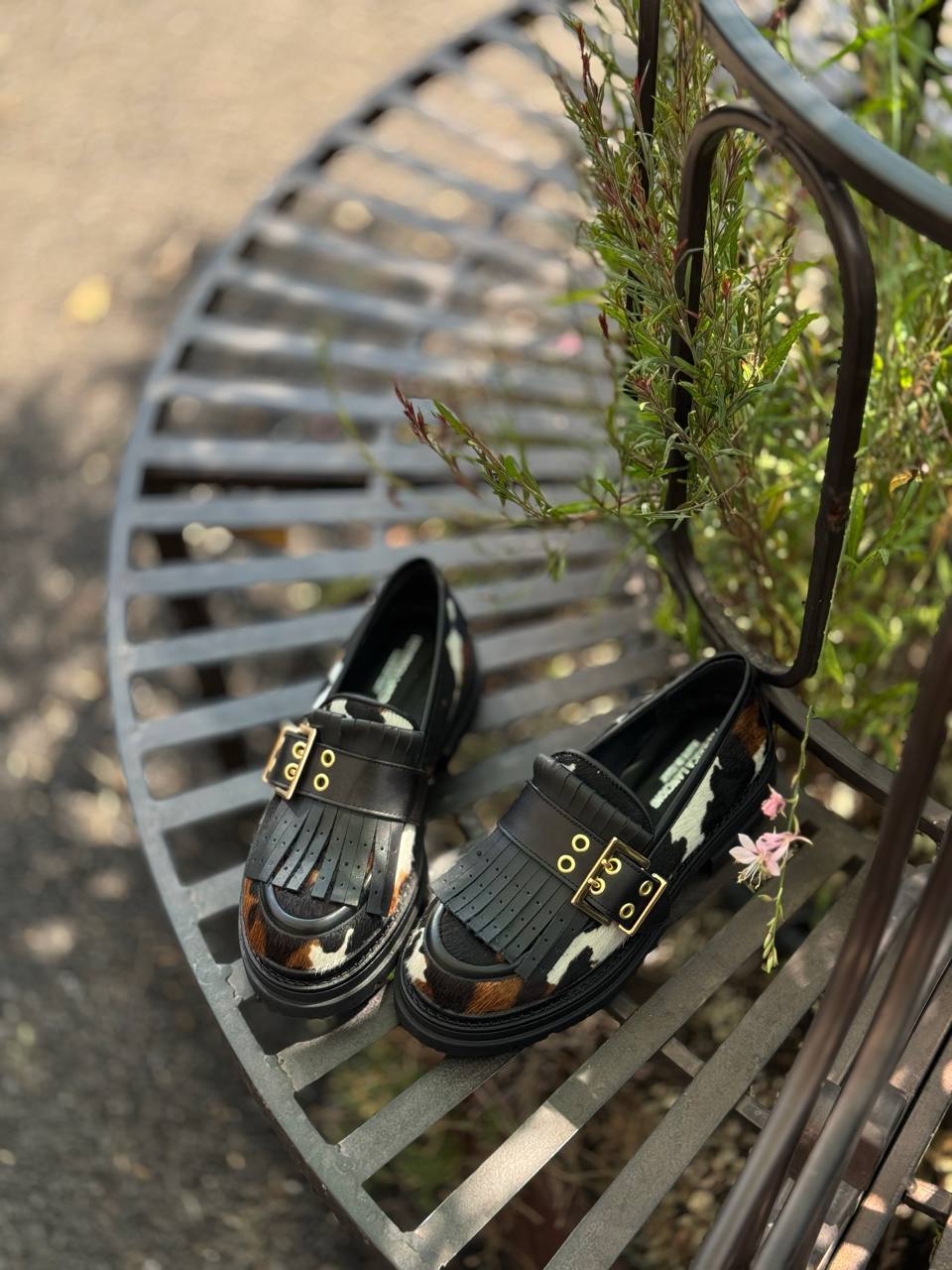 Фото Federica Lancioni