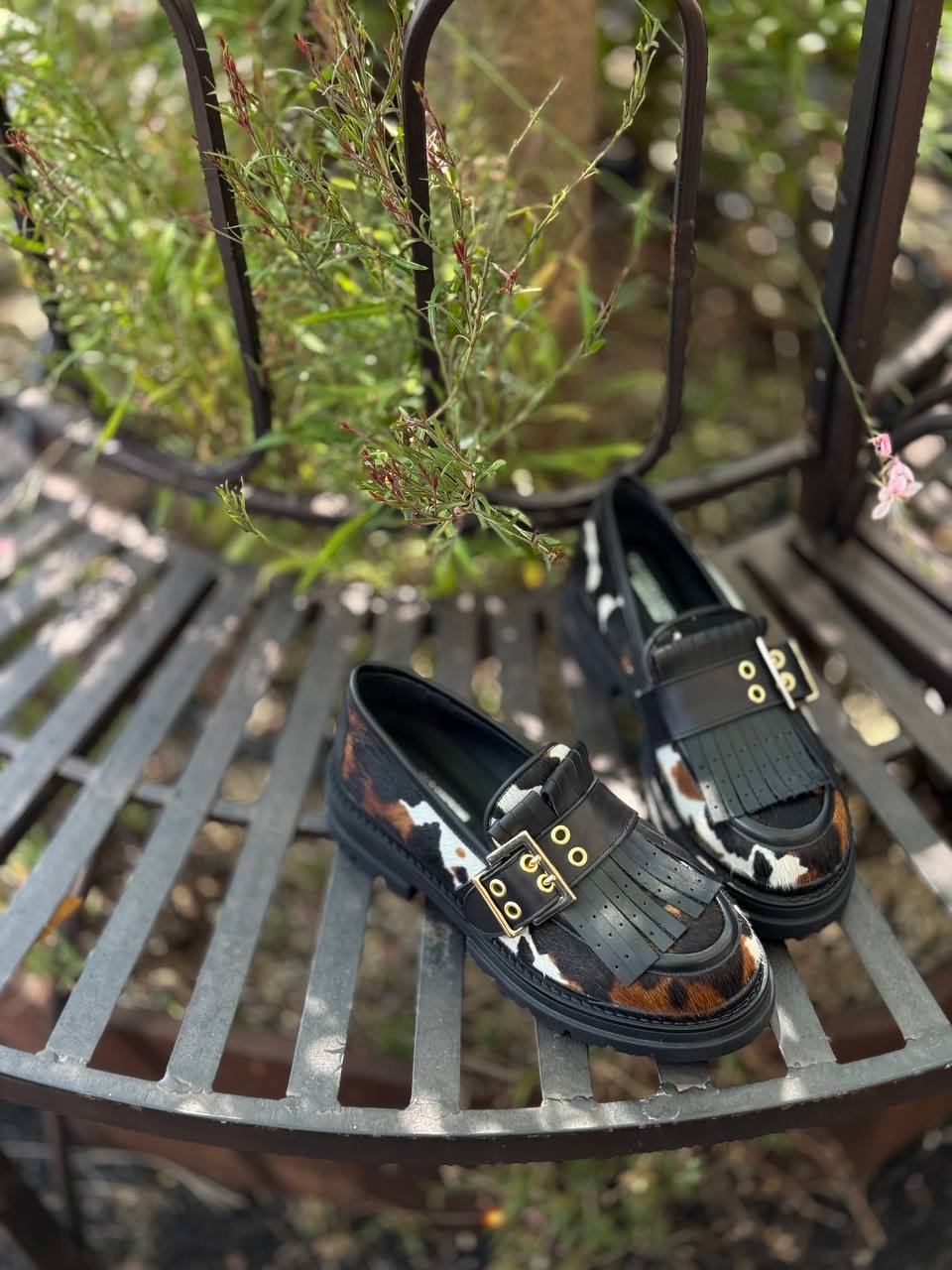 Фото Federica Lancioni