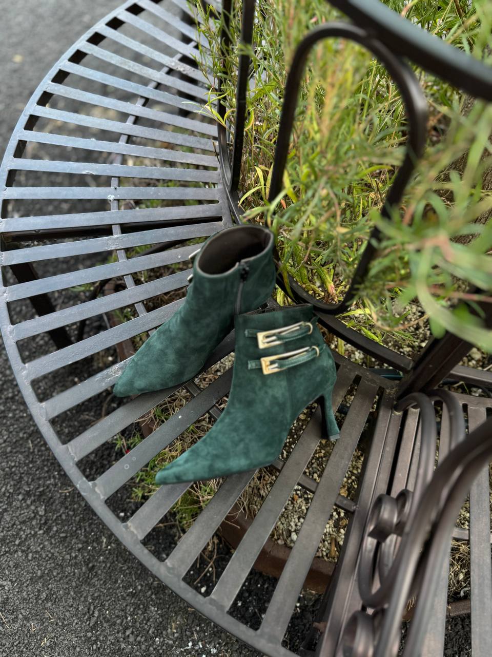 Фото Federica Lancioni