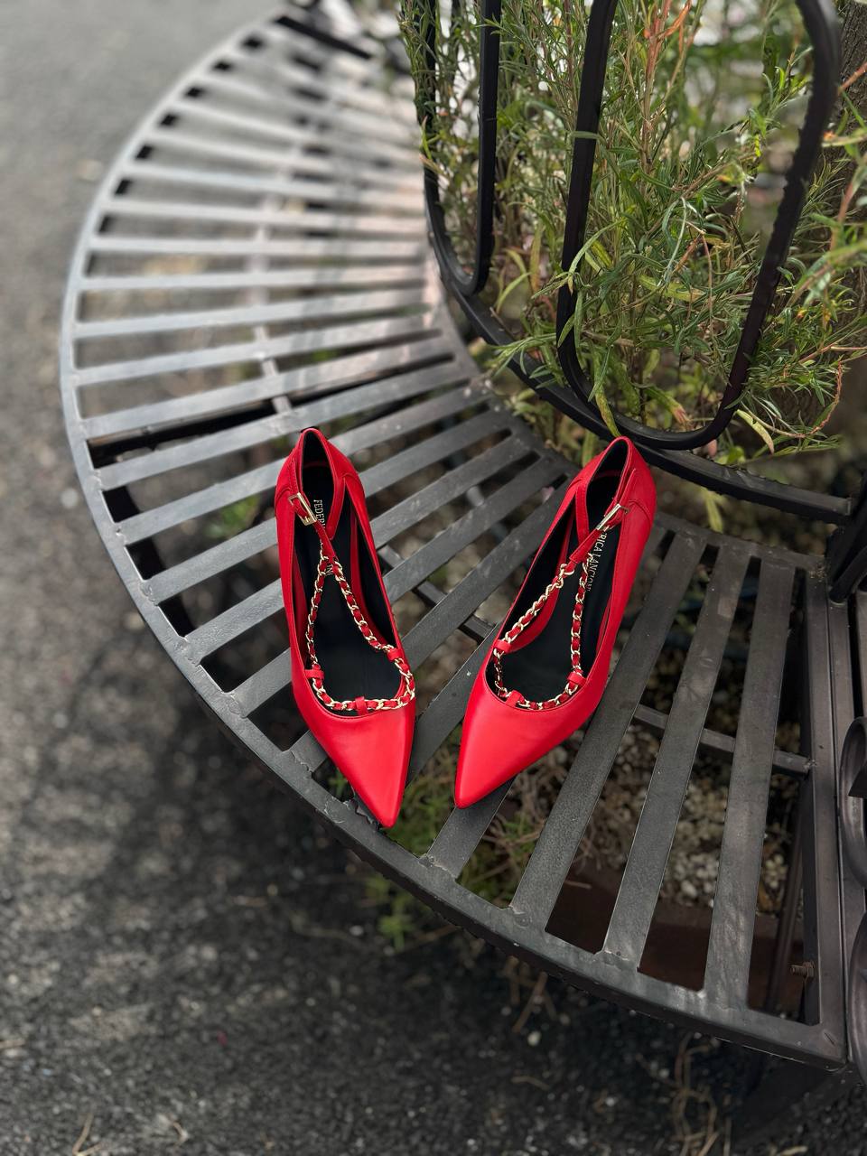 Фото Federica Lancioni