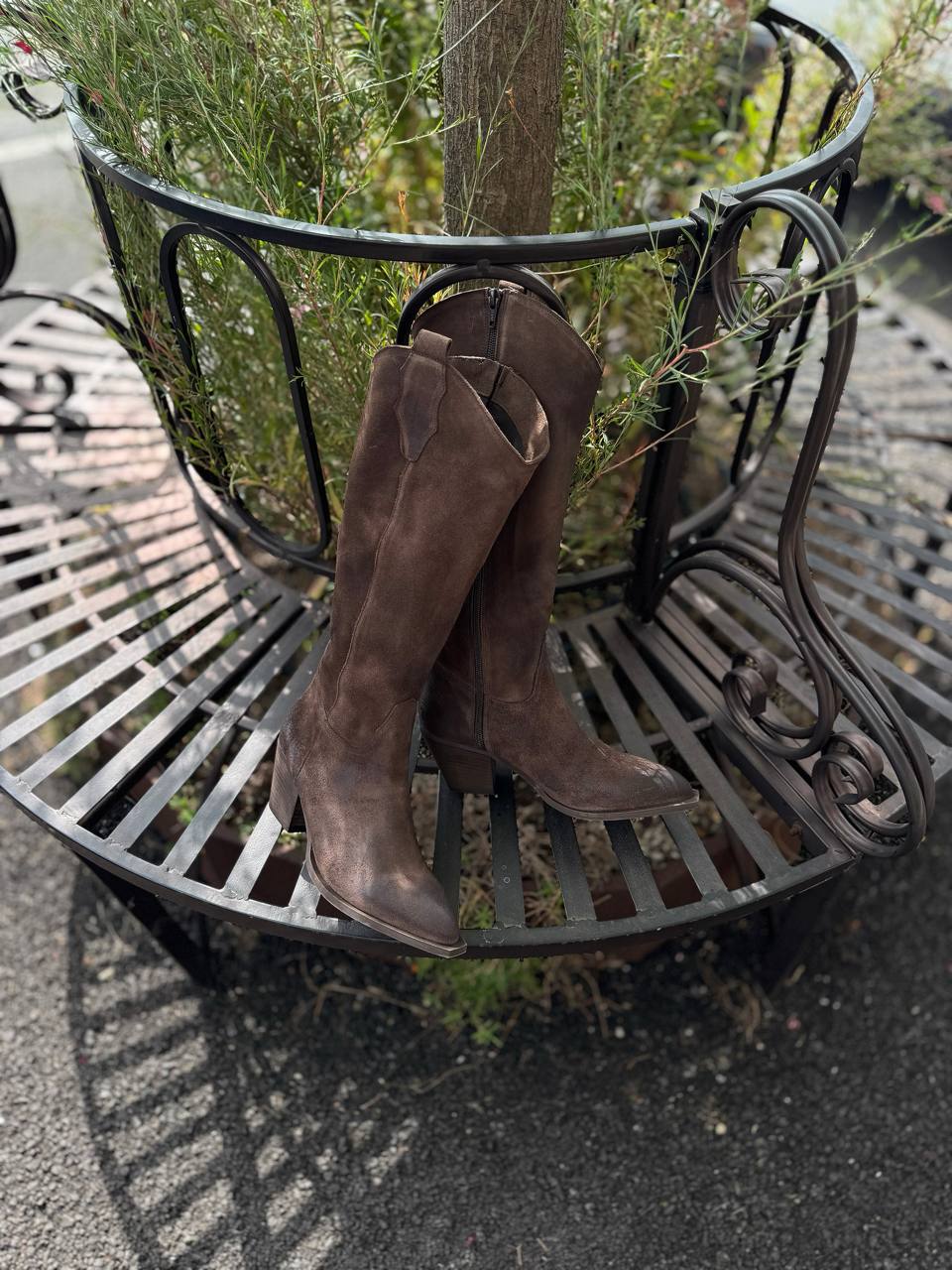 Фото Federica Lancioni