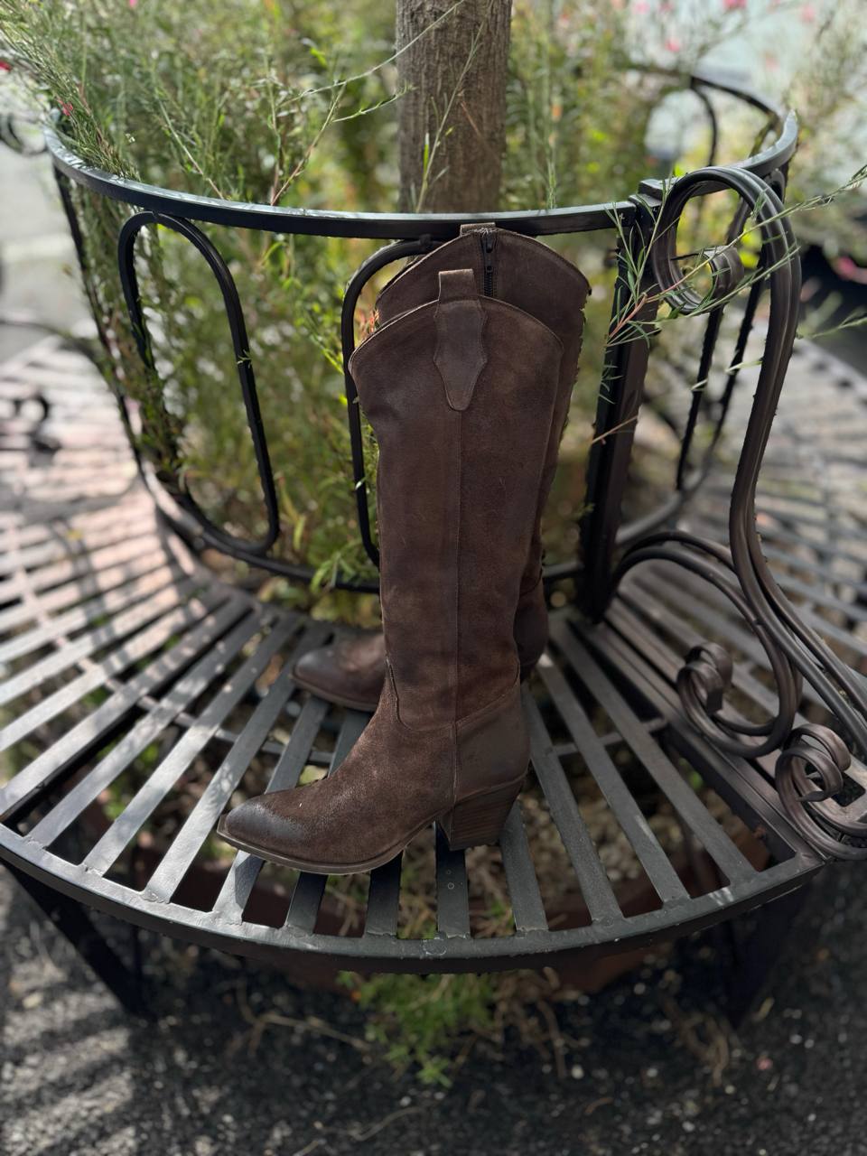 Фото Federica Lancioni