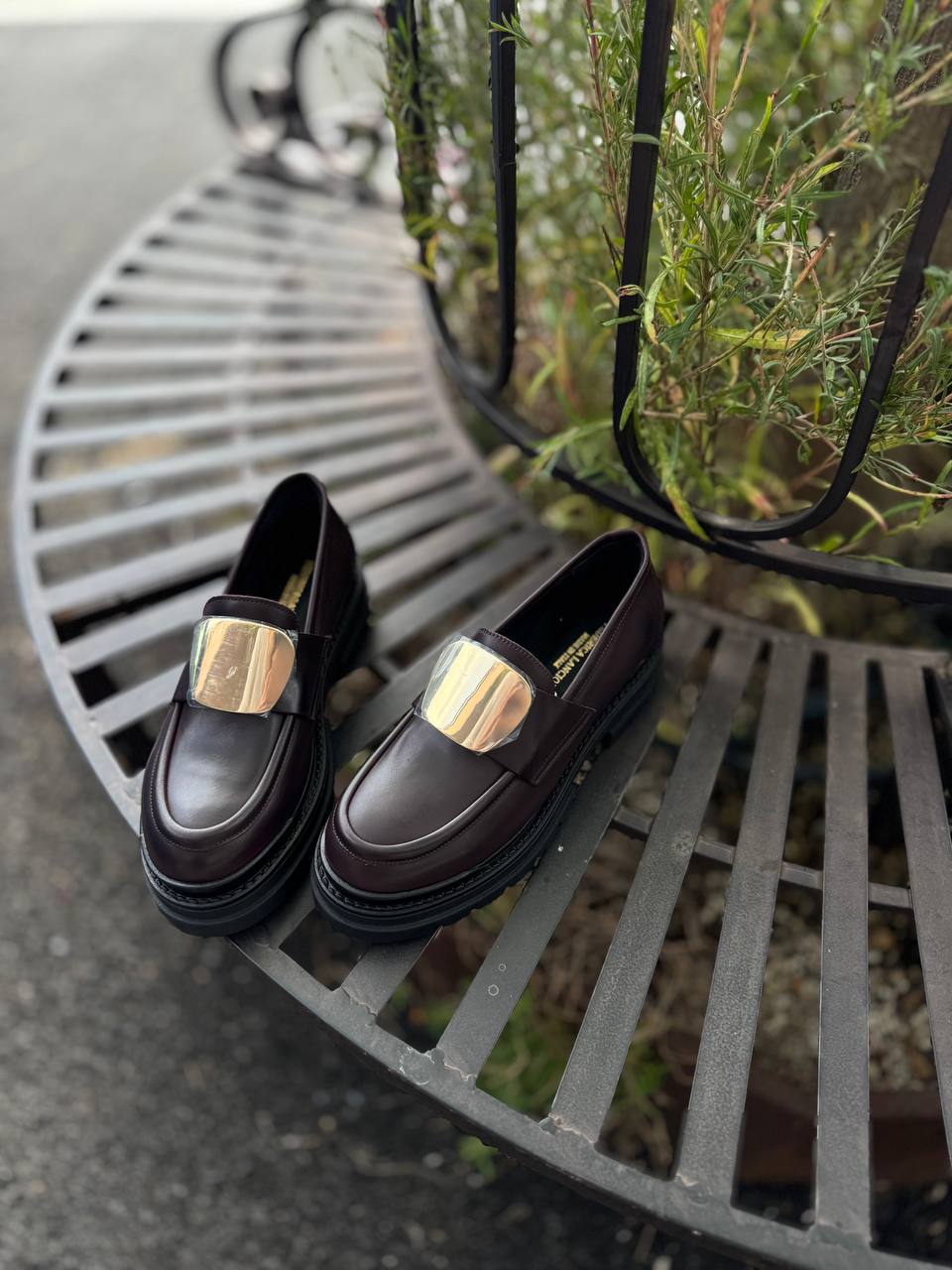 Фото Federica Lancioni