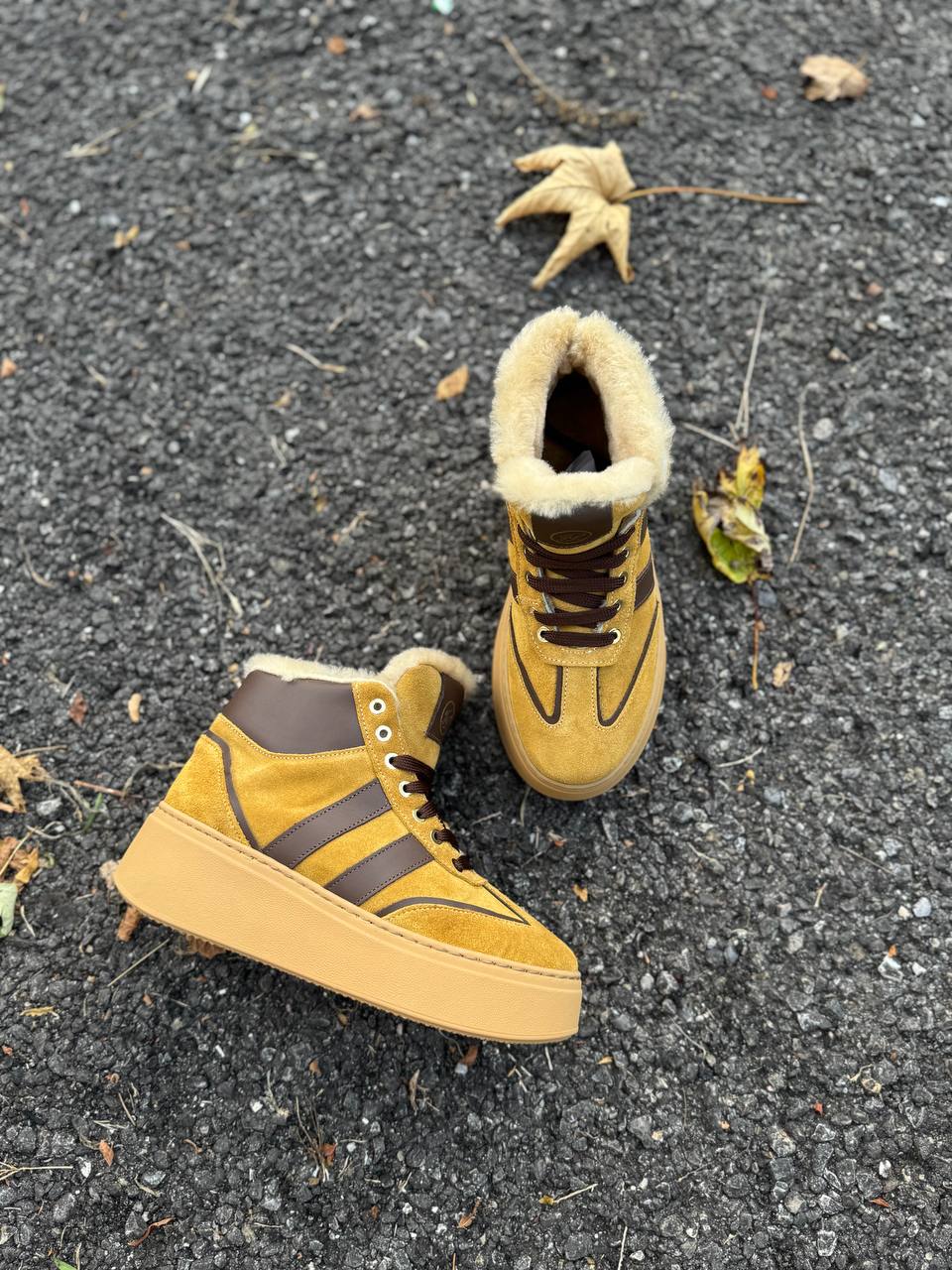 Фото Federica Lancioni