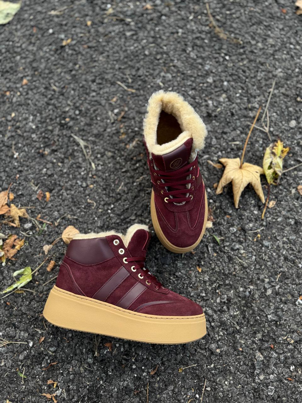 Фото Federica Lancioni