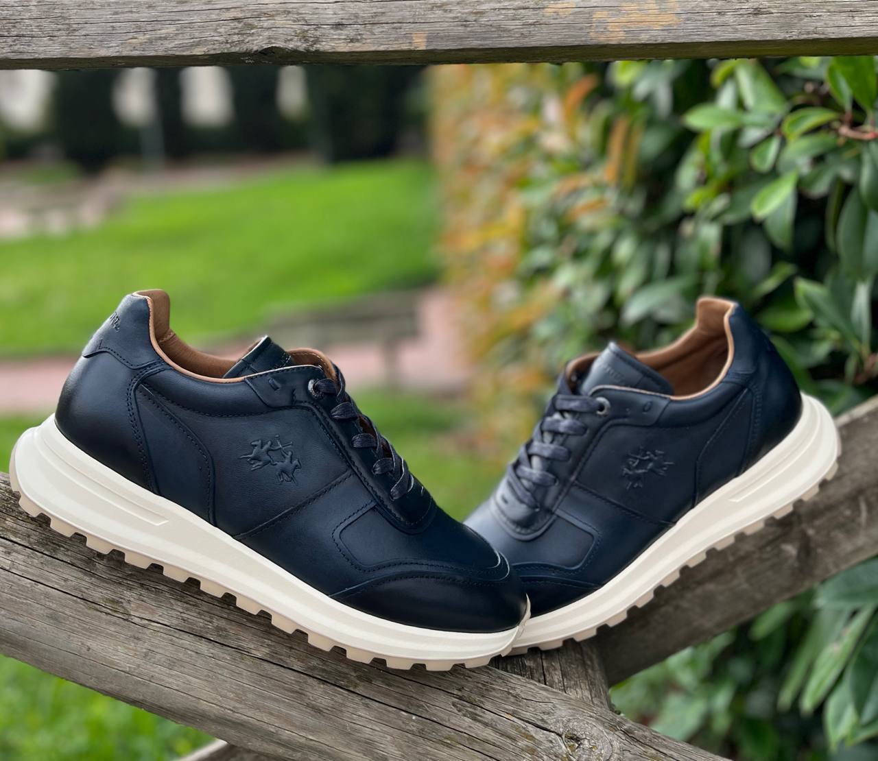 Roberto Serpentini Фото Roberto Serpentini