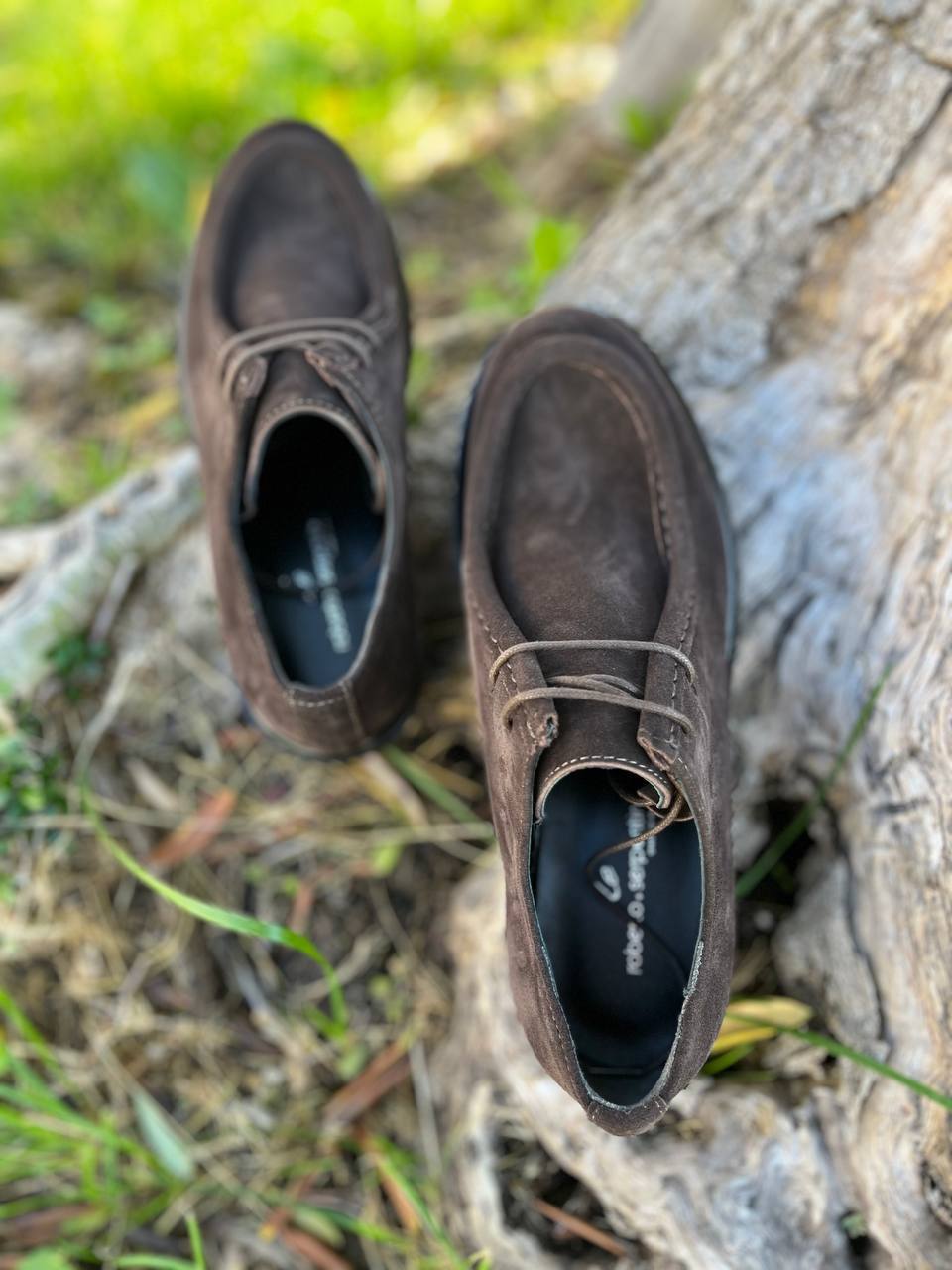 Фото Roberto Serpentini