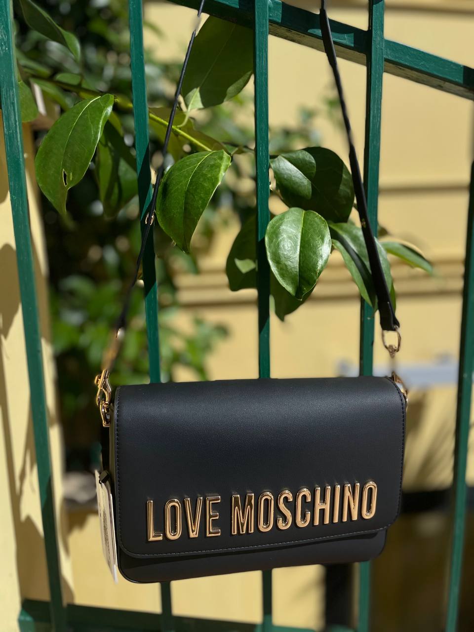 Фото Roberto Serpentini