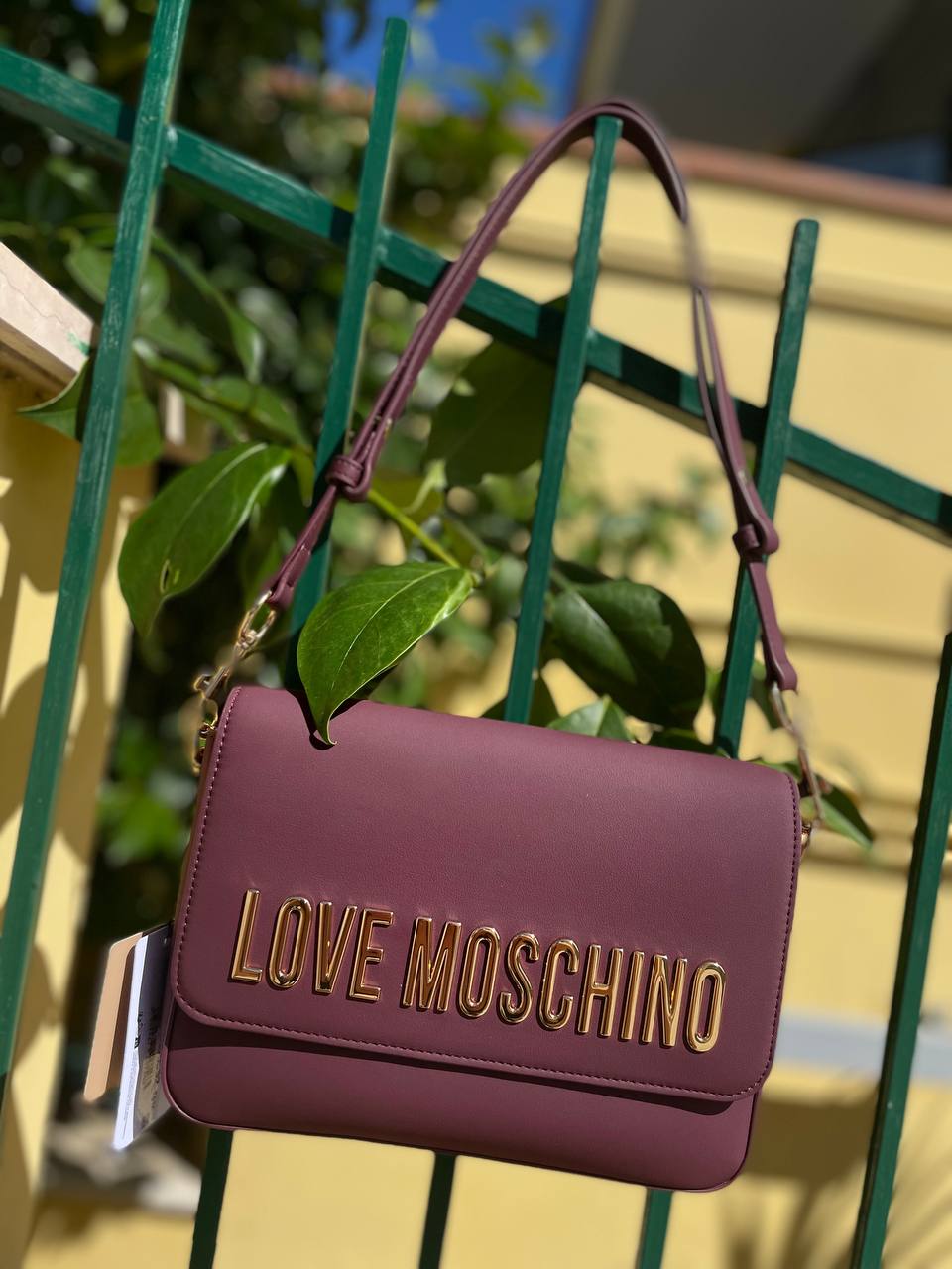 Фото Roberto Serpentini