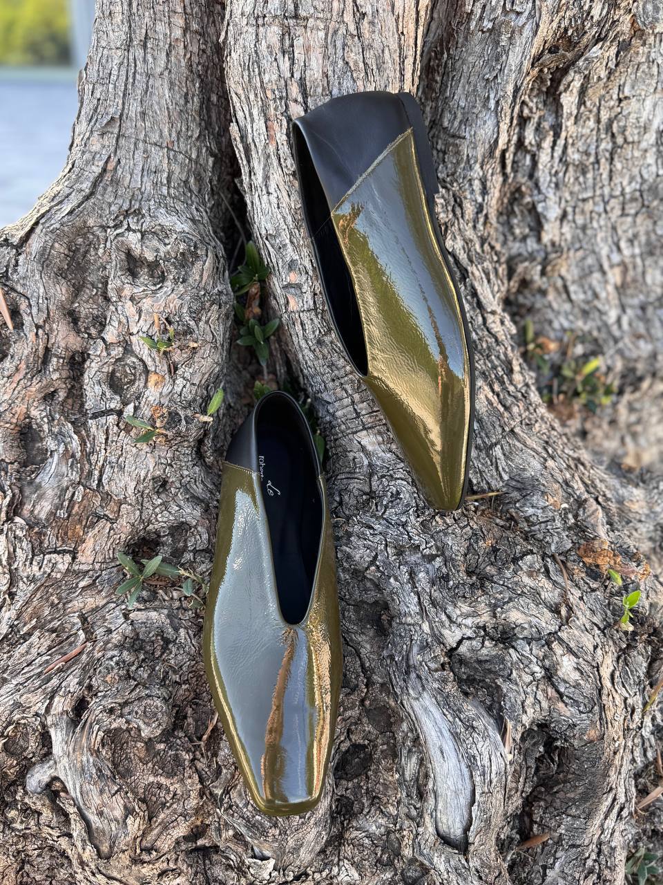 Фото Roberto Serpentini