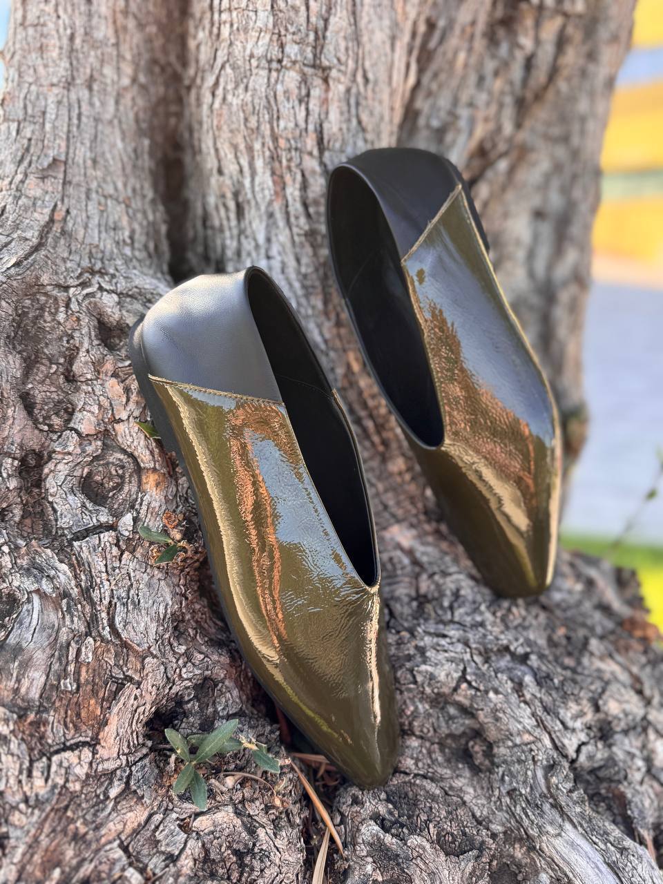 Фото Roberto Serpentini