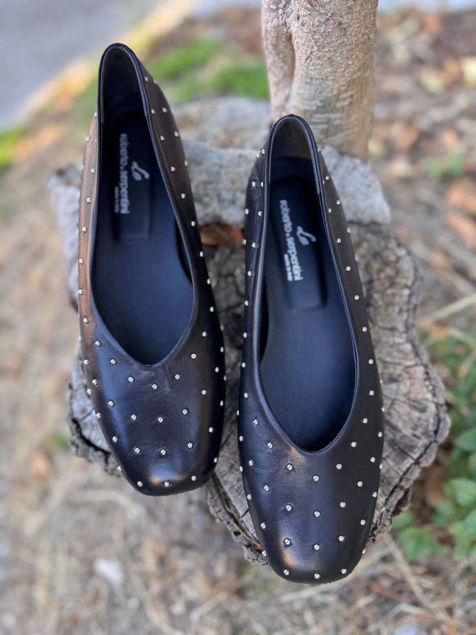 Фото Roberto Serpentini