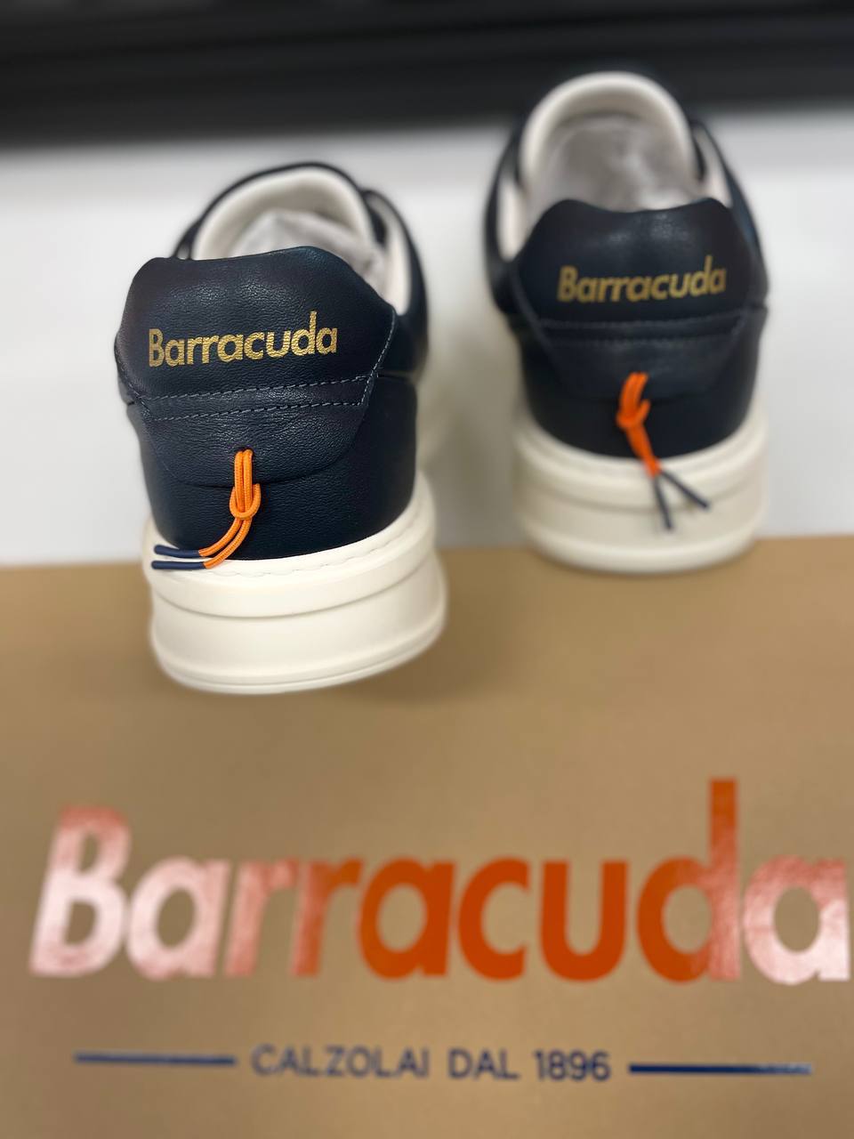 Фото Roberto Serpentini