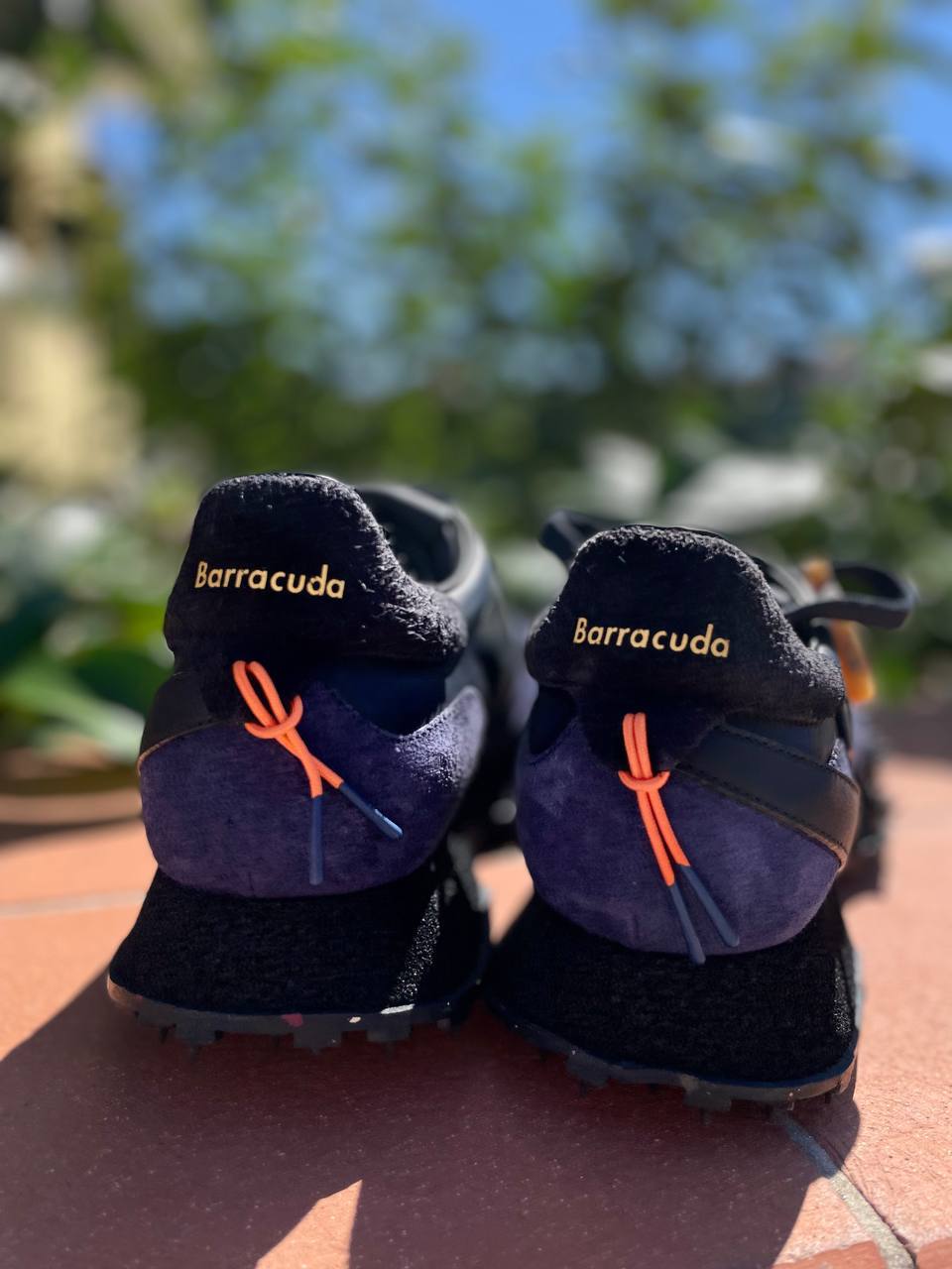 Фото Roberto Serpentini