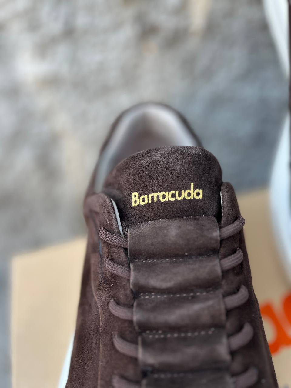 Фото Roberto Serpentini