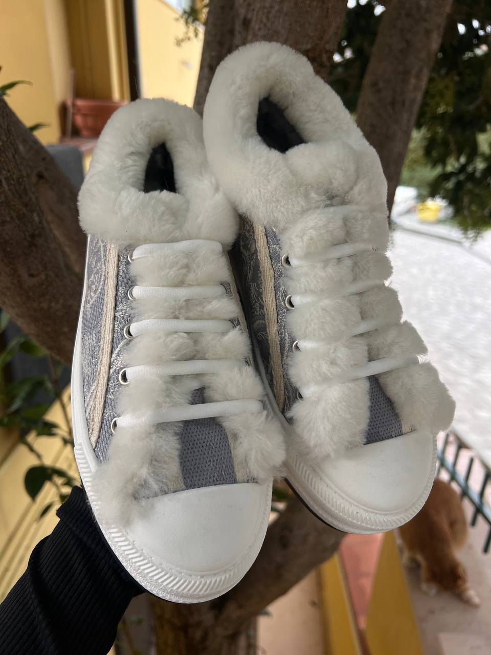 Фото Roberto Serpentini