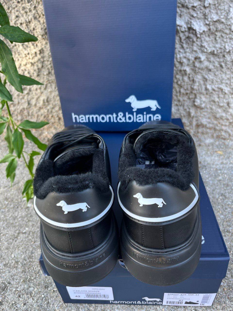 Фото Roberto Serpentini