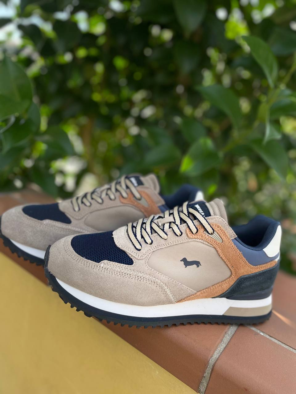 Фото Roberto Serpentini