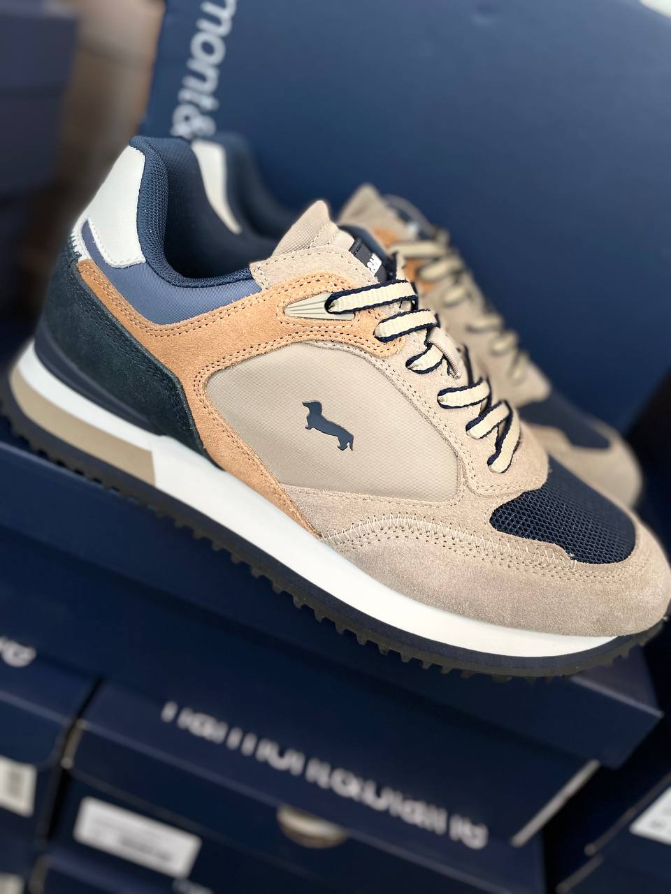 Фото Roberto Serpentini