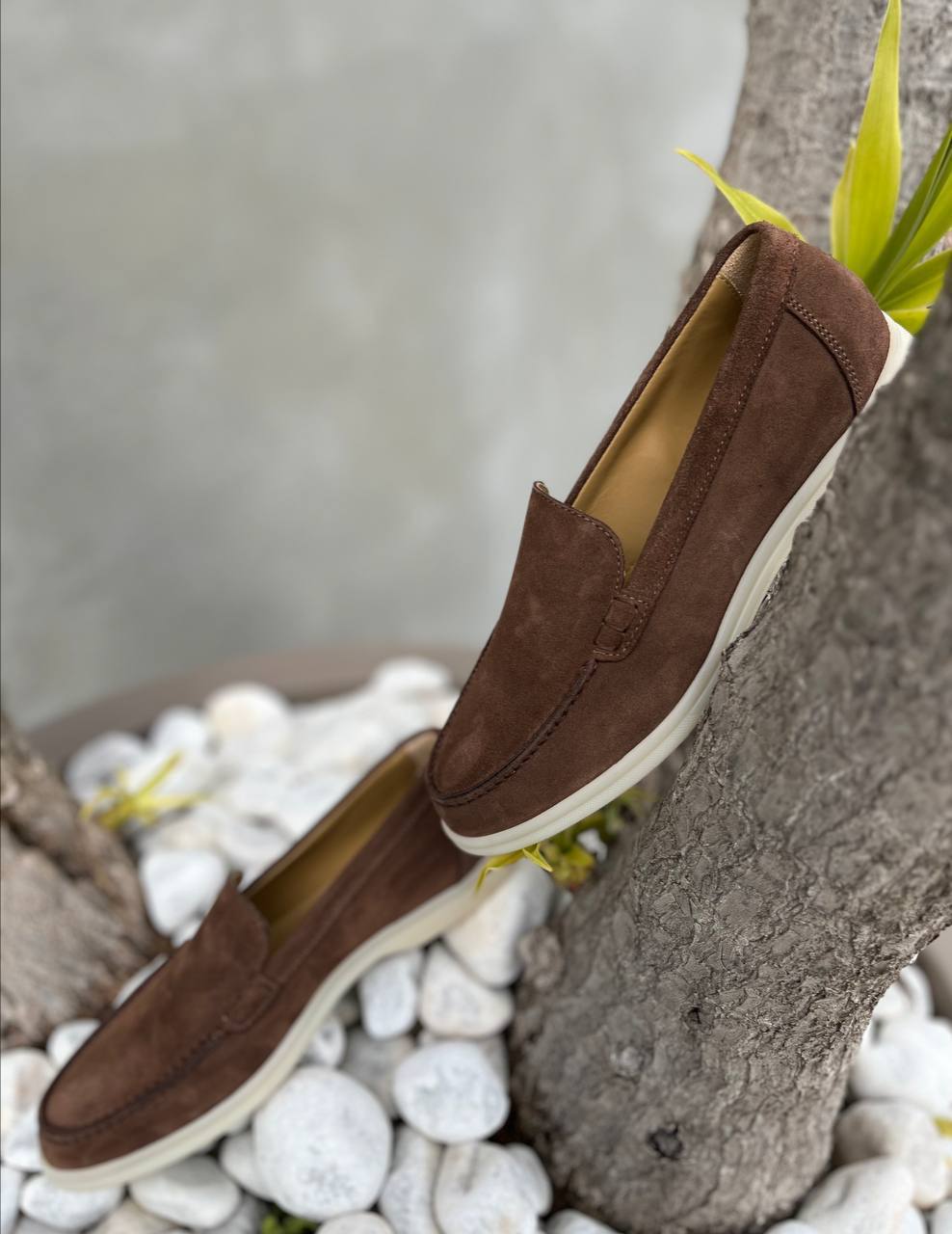 Фото Roberto Serpentini