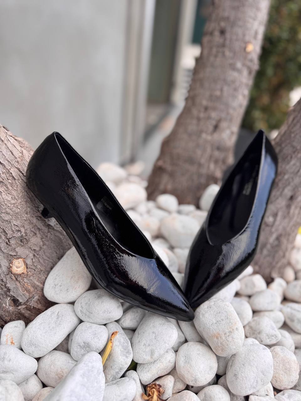 Фото Roberto Serpentini