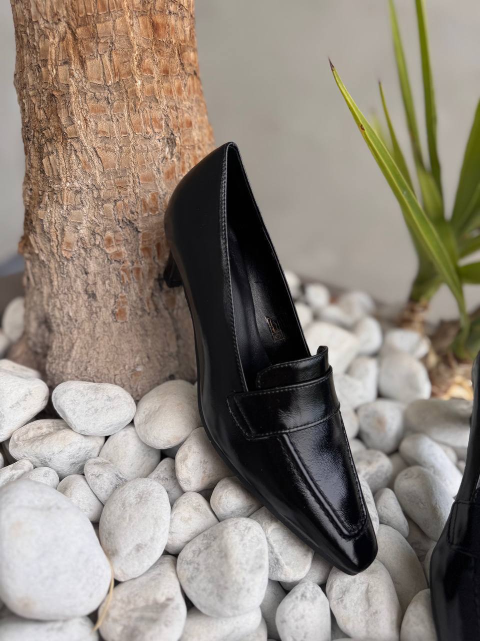 Фото Roberto Serpentini