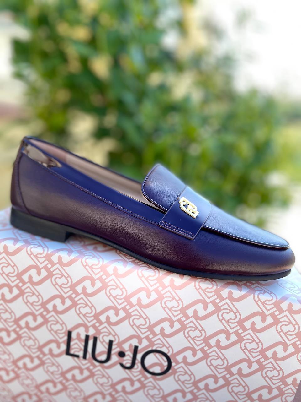 Фото Roberto Serpentini