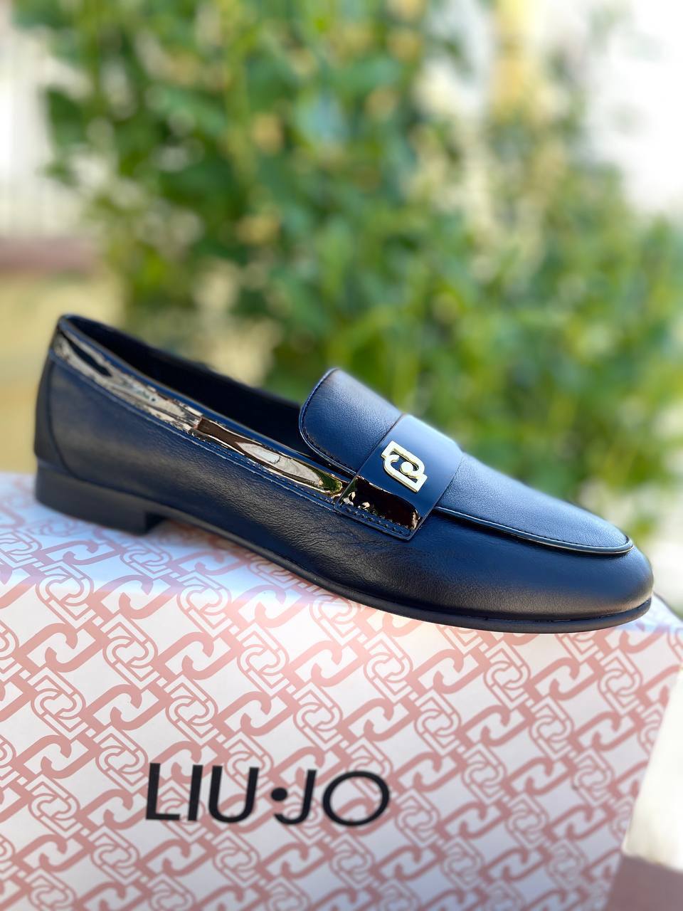 Фото Roberto Serpentini