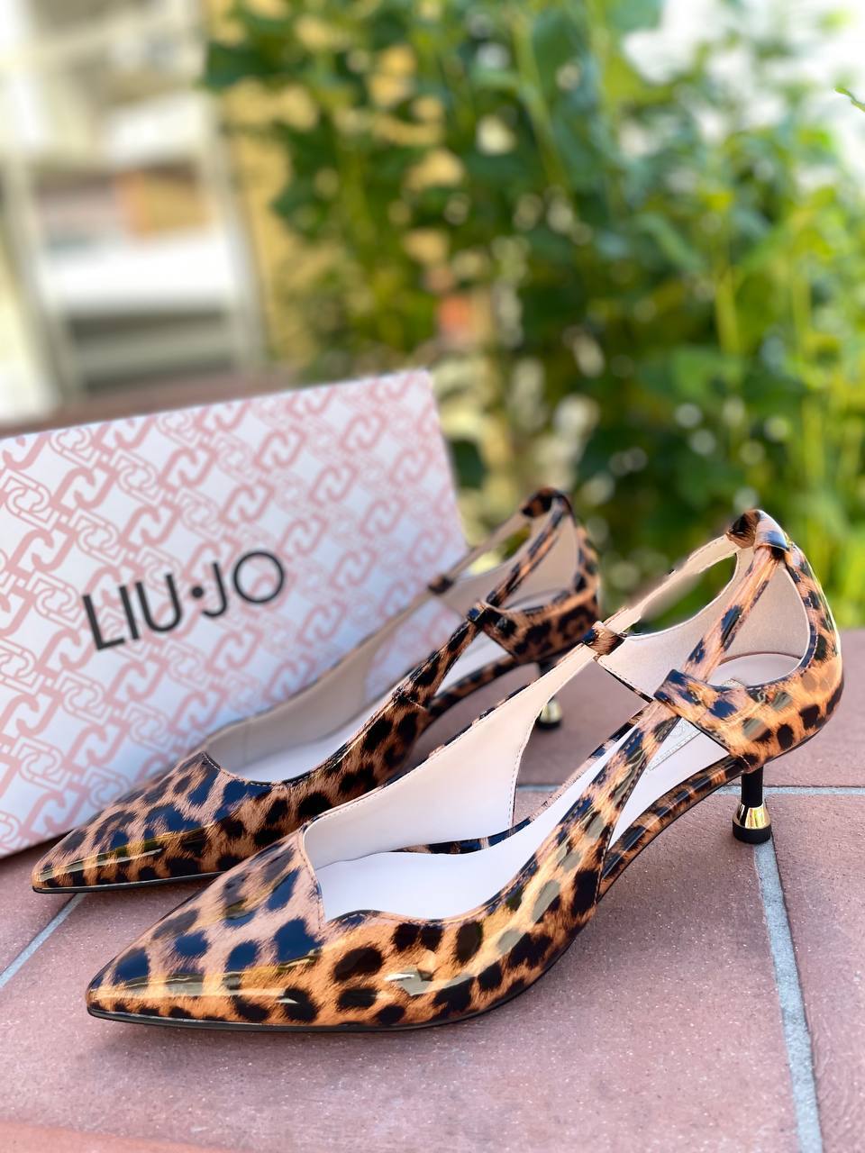 Фото Roberto Serpentini