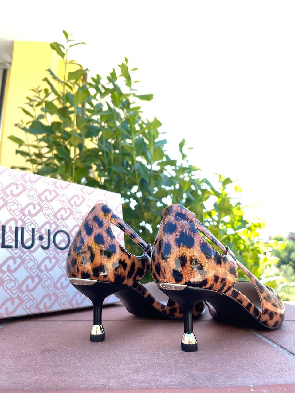 Фото Roberto Serpentini