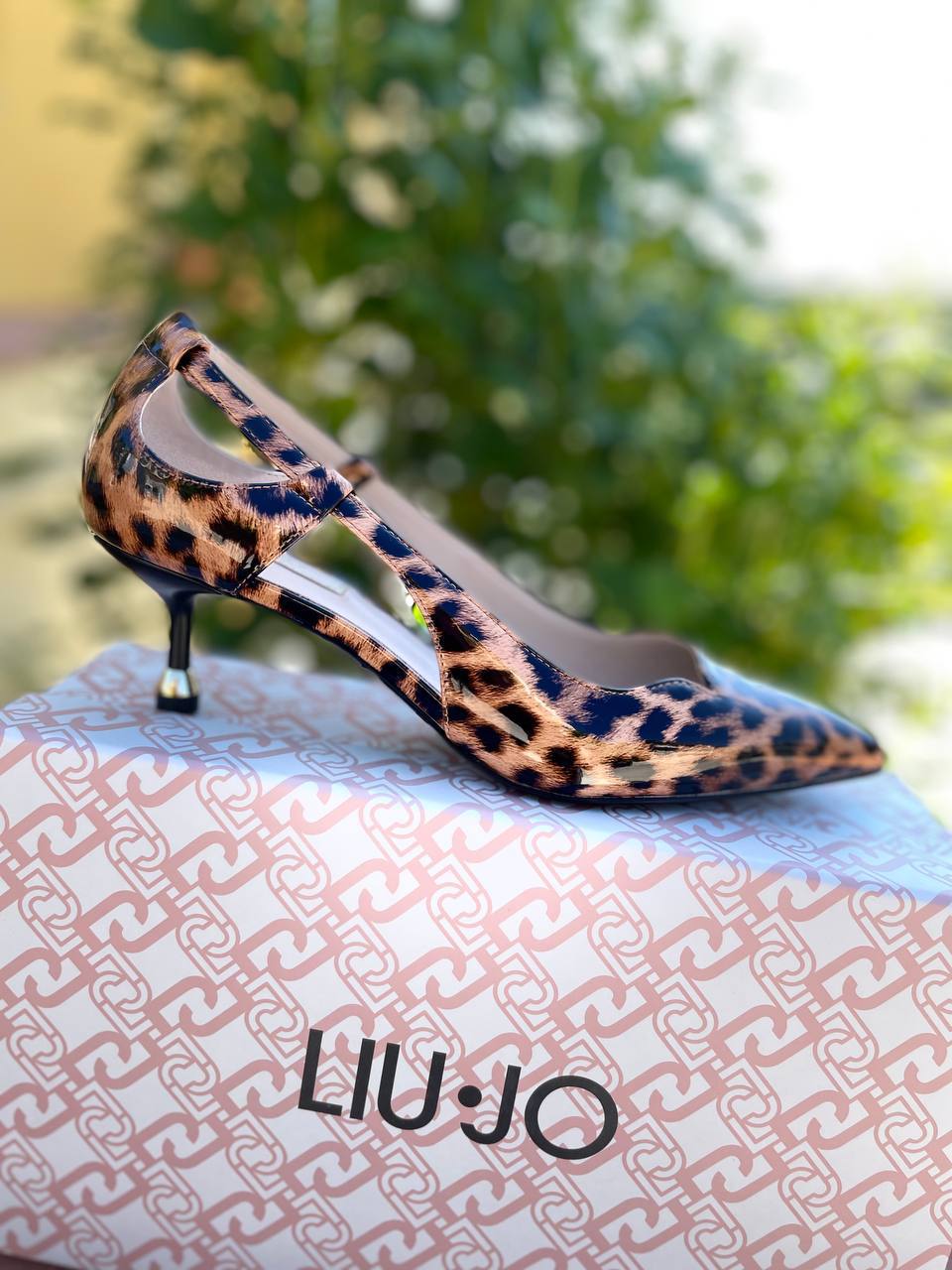 Фото Roberto Serpentini