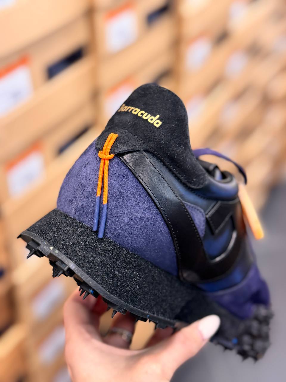 Фото Roberto Serpentini