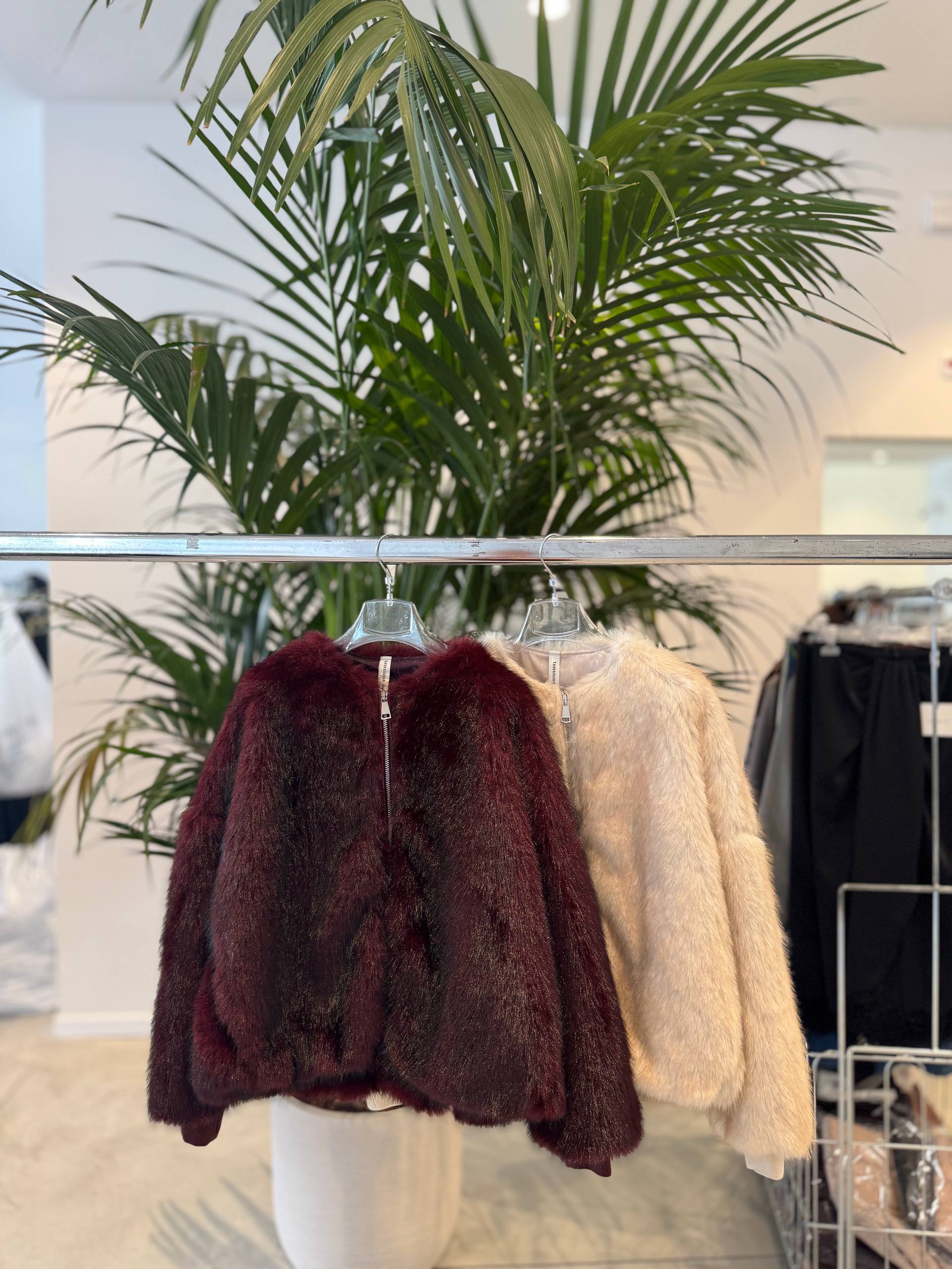 Фото Tensione in