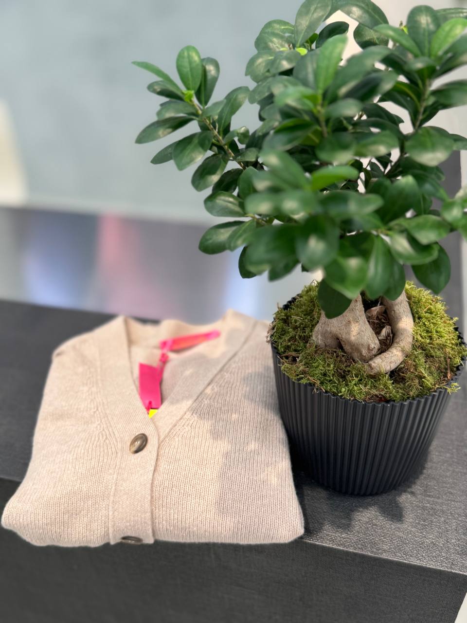 Фото Tensione in