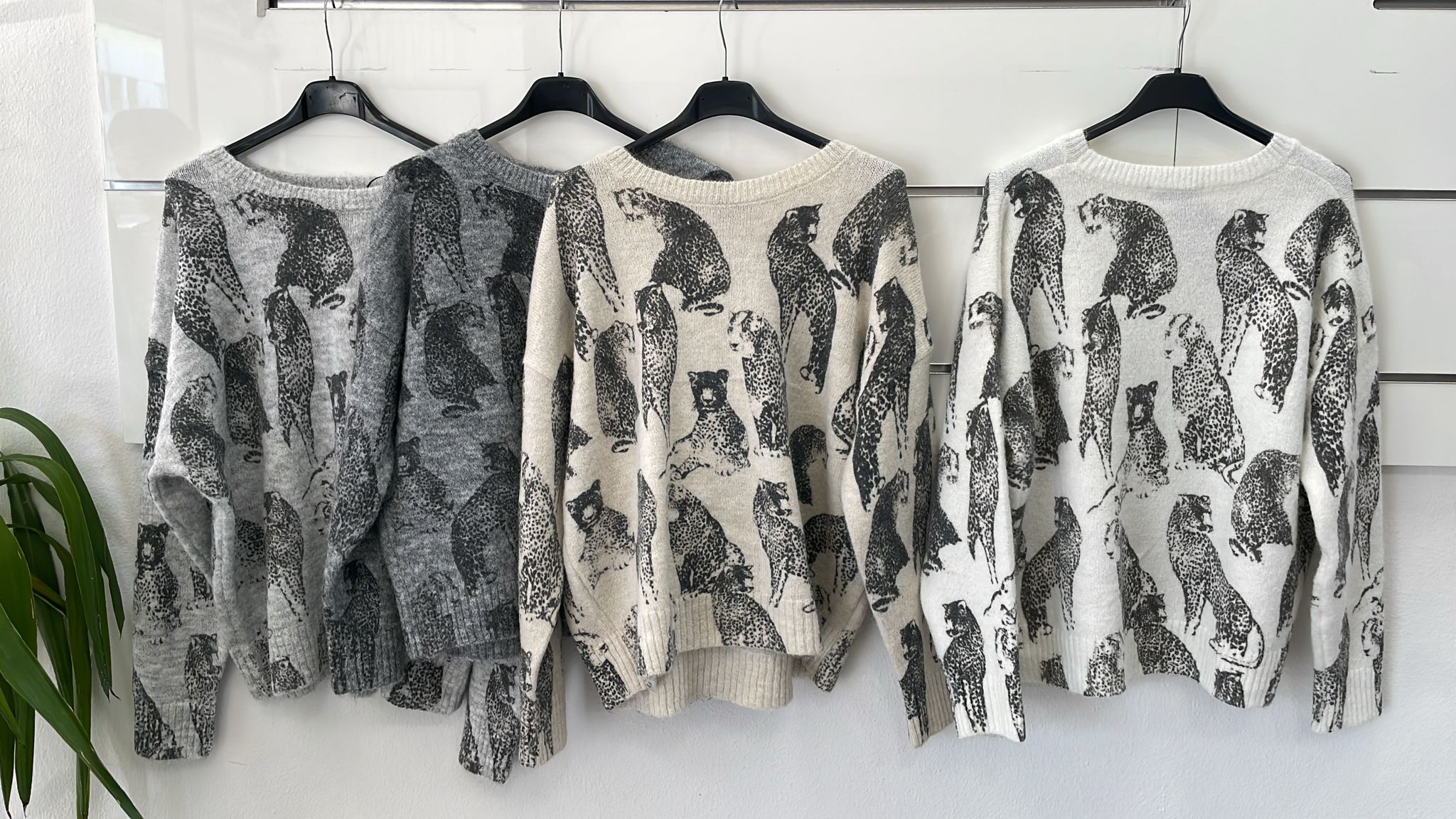 Joie Clair (J-Clair)