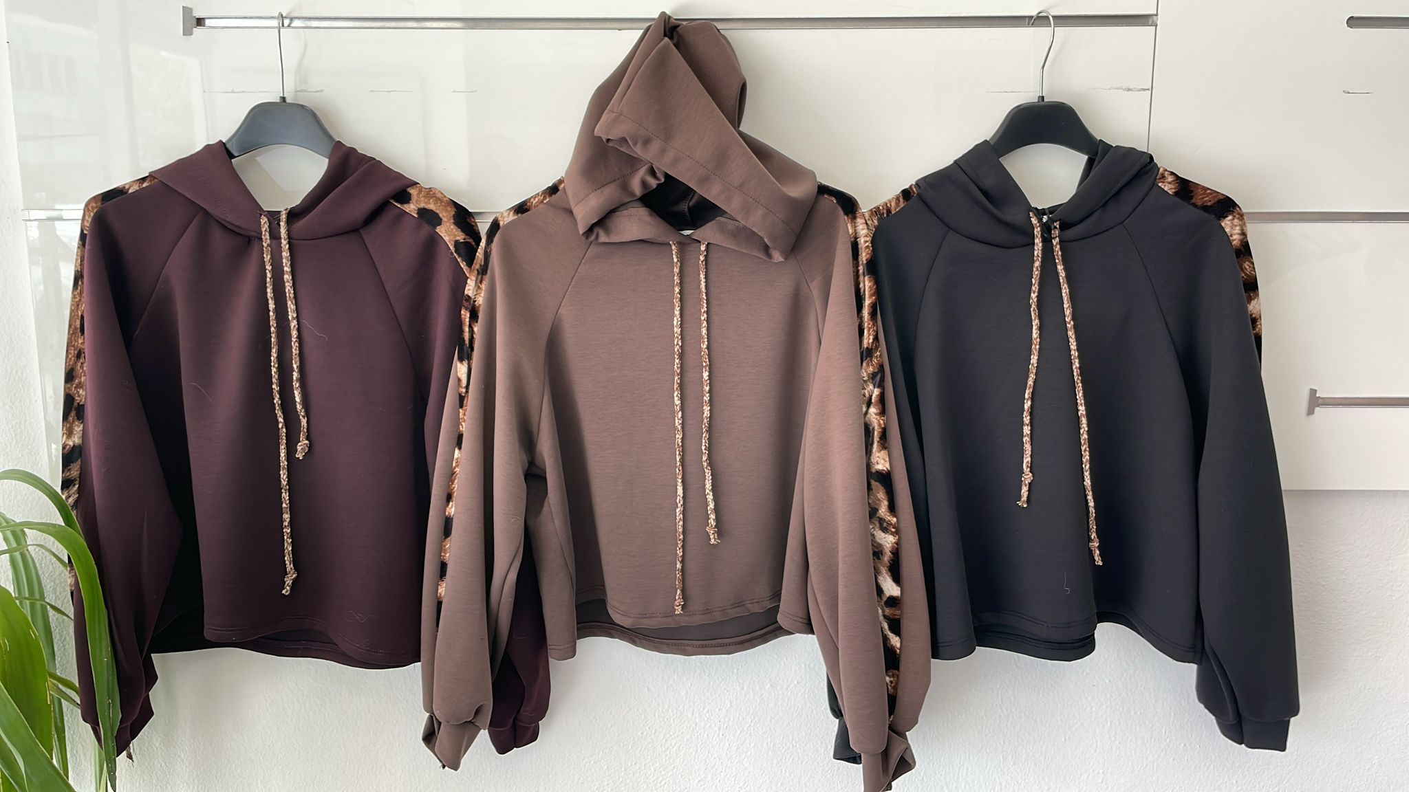 Joie Clair (J-Clair)