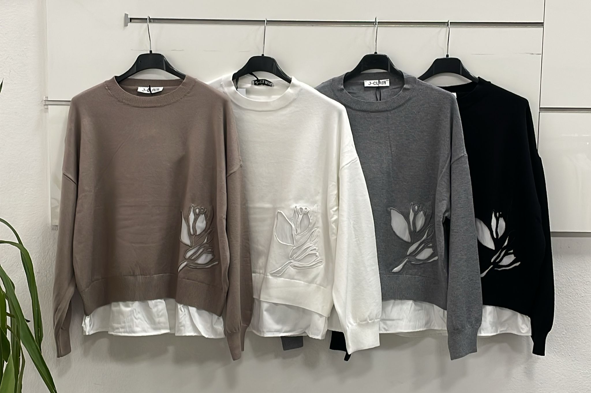 Фото Joie Clair (J-Clair)