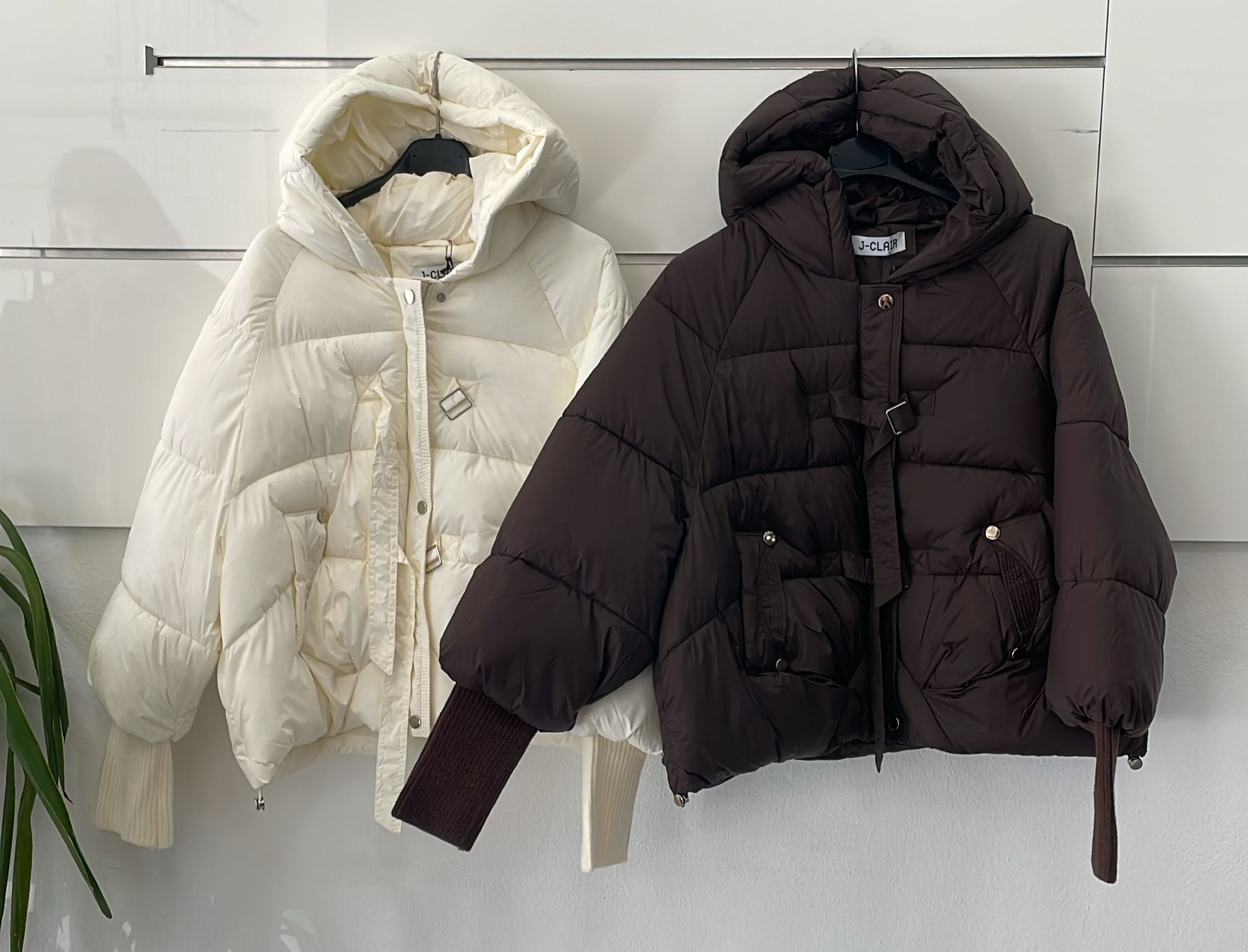 Фото Joie Clair (J-Clair)