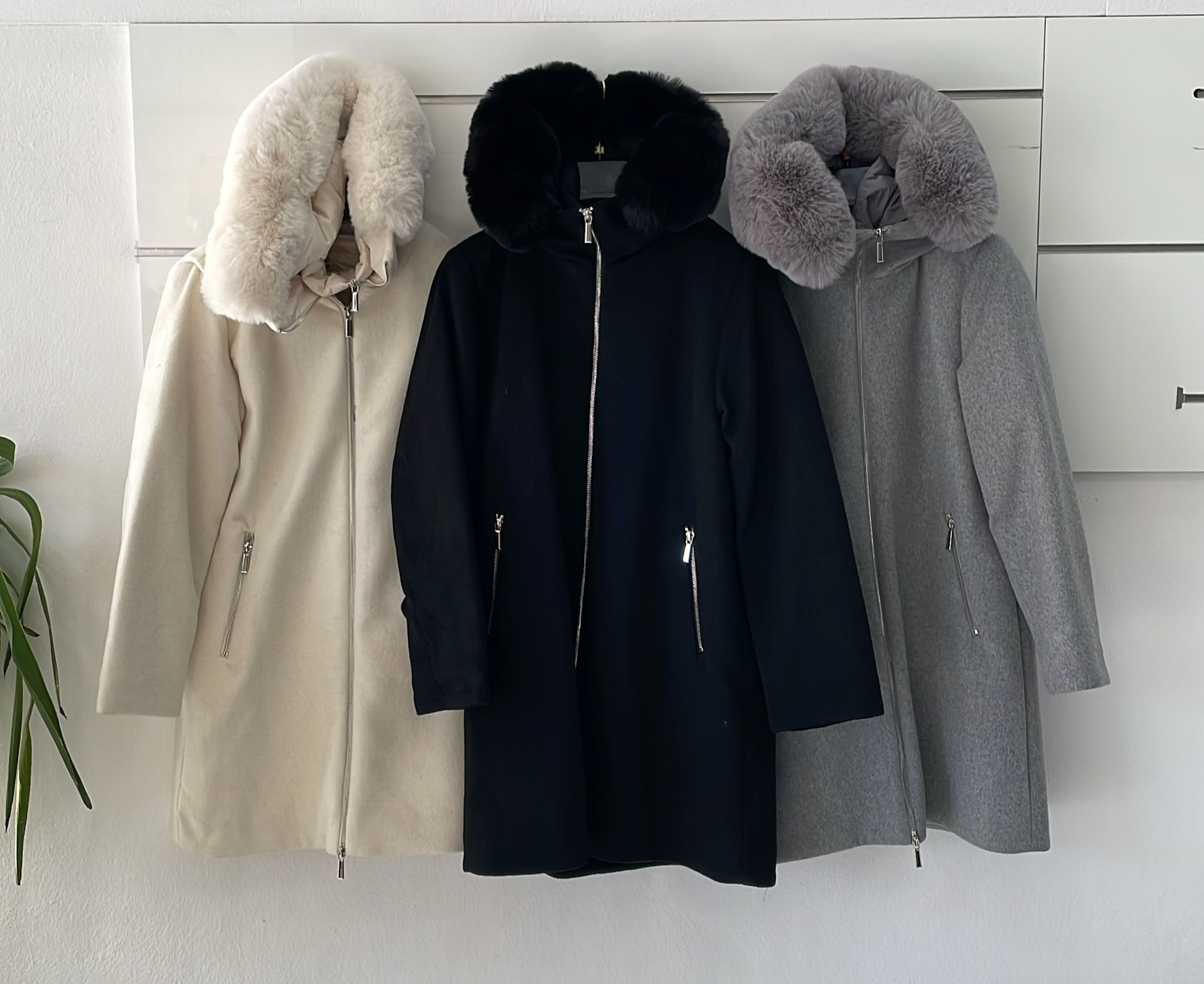 Фото Joie Clair (J-Clair)